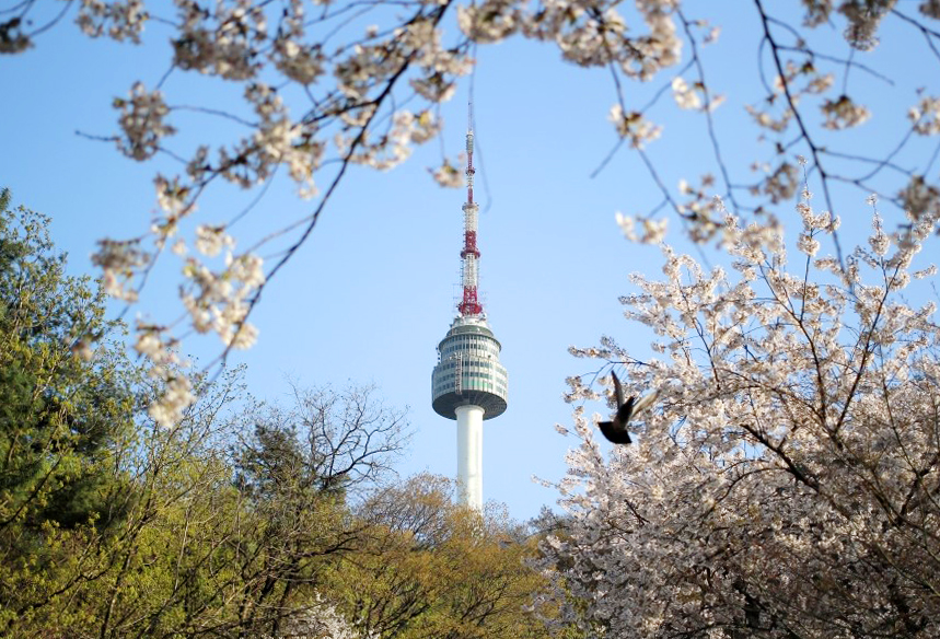 Seoul Namsan Tower | Observatory | Seoul's Landmark | View