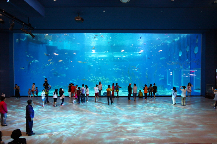 Image result for aqua planet jeju