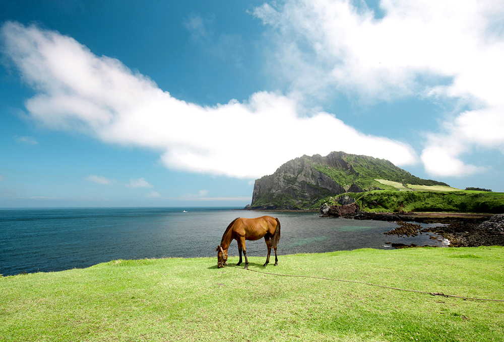 Seongsan llchulbong | Volcán | Isla de Jeju | Corea del Sur