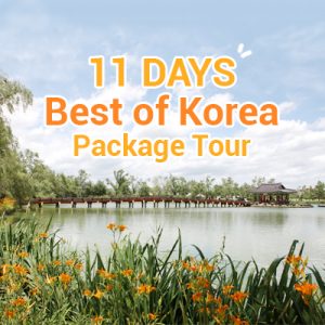 11 Days Best of Korea Package Tour