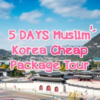 muslim friendly tour package korea