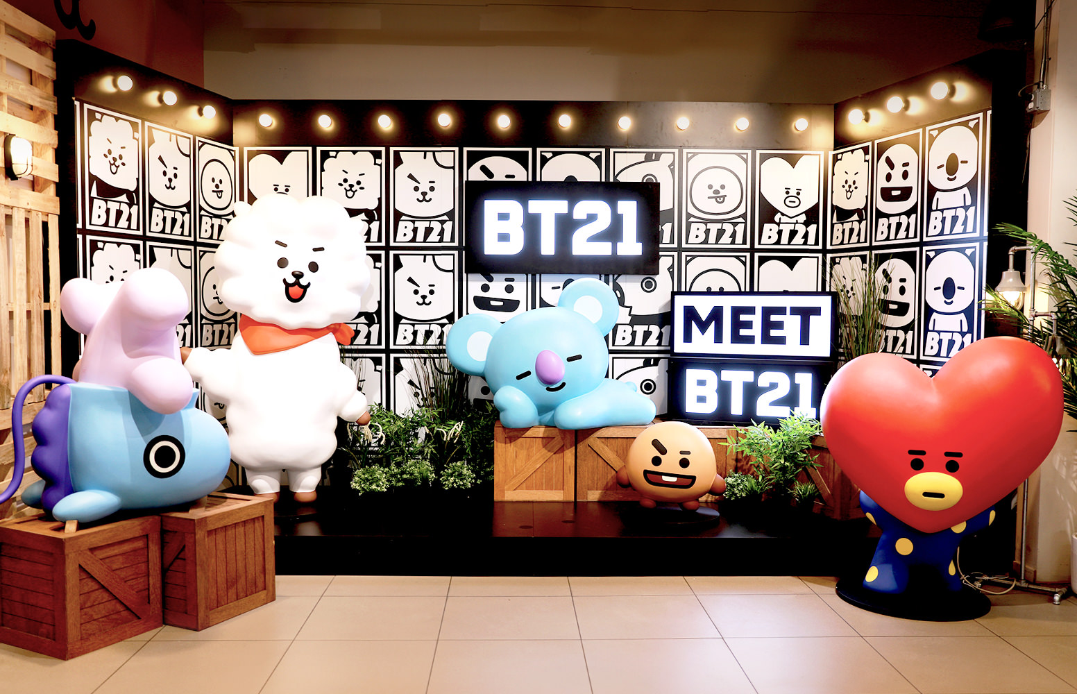BT21  Your Korean Store - Daebak