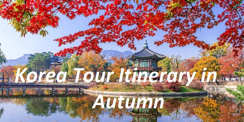 korea autumn tour package