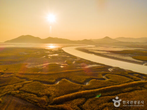 Suncheonman Wet Land