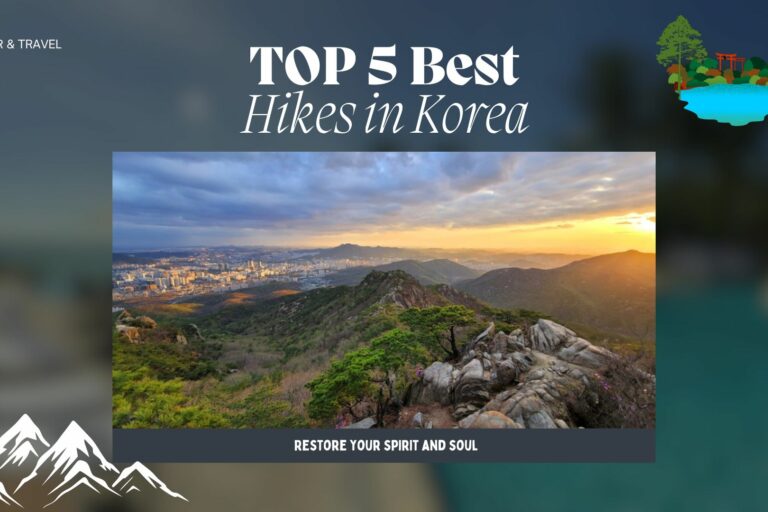 best korean travel agency
